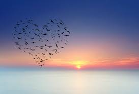 What is your&nbsp;_____?